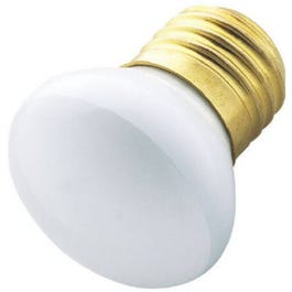 40-Watt Flood Light Bulb