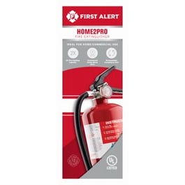 Rechargeable Fire Extinguisher, Red, 2A: 10-B:C