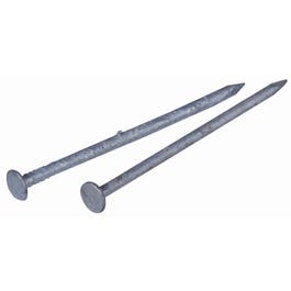 Galvanized Common Nail, 2.5-In., 8-D, 1-Lb.