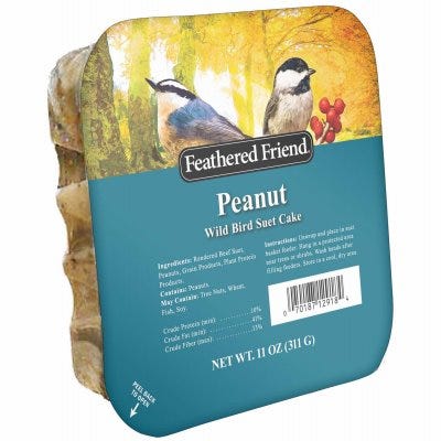 Feathered Friend Peanut Suet Wild Bird Food (11 oz)
